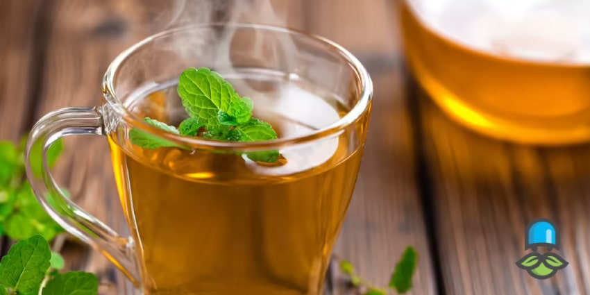 کاهش قند خون با 7 دمنوش طلایی | درمان گیاهی و سریع قندخون