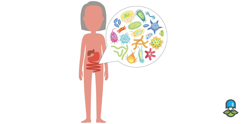 آلودگی‌ها و سموم تهدیدی برای میکروبیوم روده