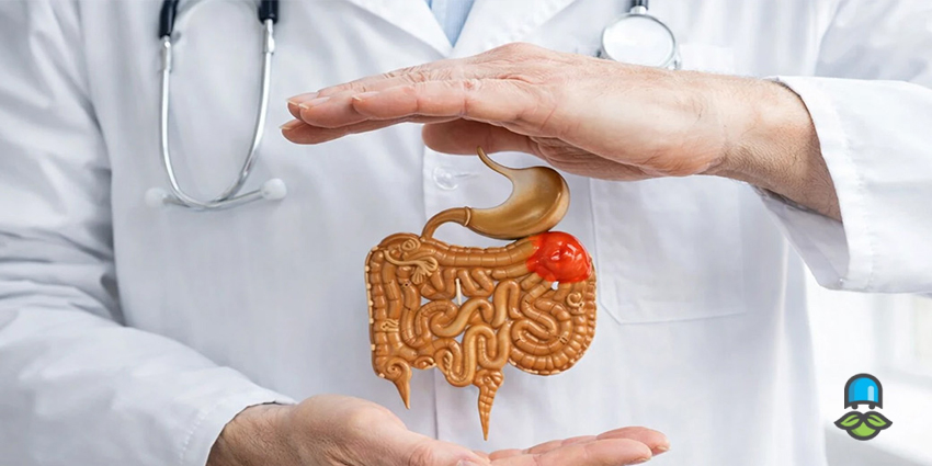 چگونه جذب روده را افزایش دهیم؟