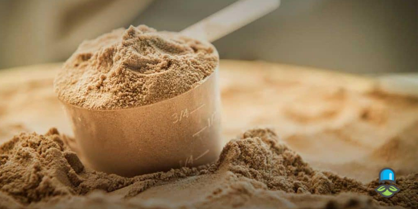 نیاز پروتئینی در دوران بارداری چقدر است؟