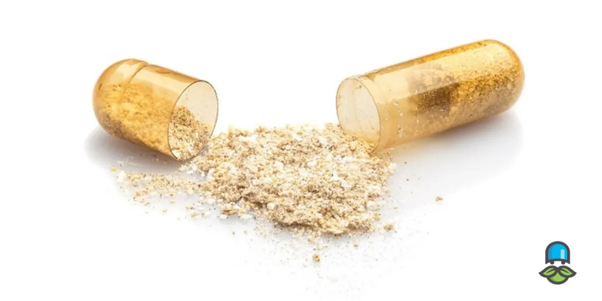 چگونگی مصرف قرص مخمر برای چاقی 