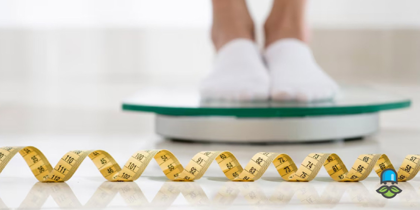 بهترین مواد گیاهی برای کاهش اشتها و لاغری