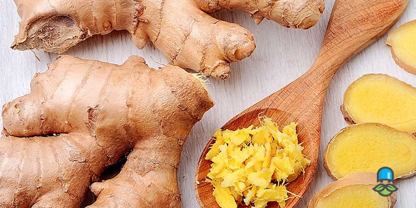 چرا تغذیه بر میل جنسی تاثیرگذار است؟ 