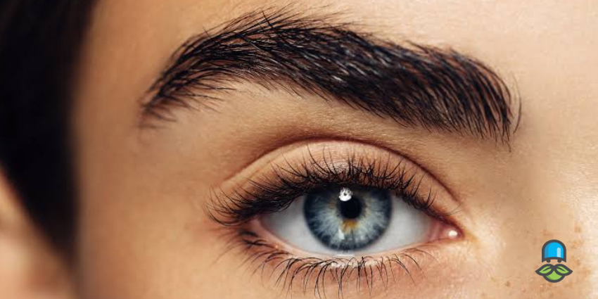 تاثیر تغذیه بر سلامت ابرو