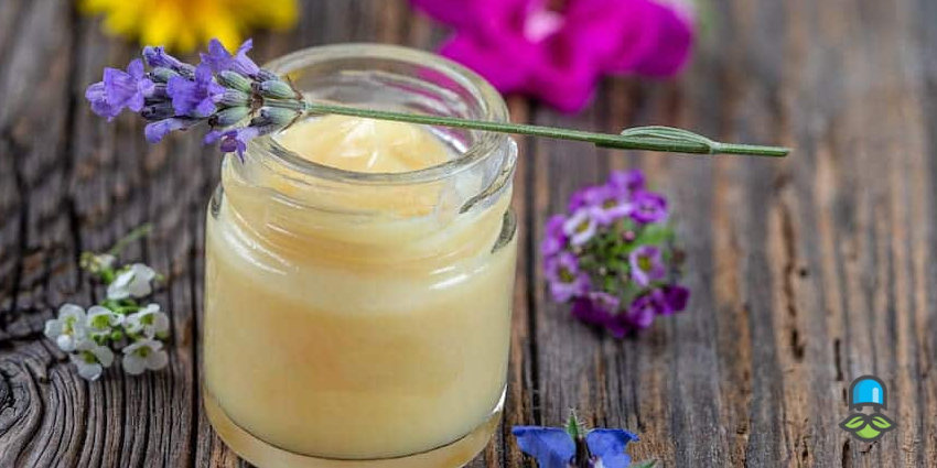 ژل رویال چیست و چگونه تولید می‌شود؟