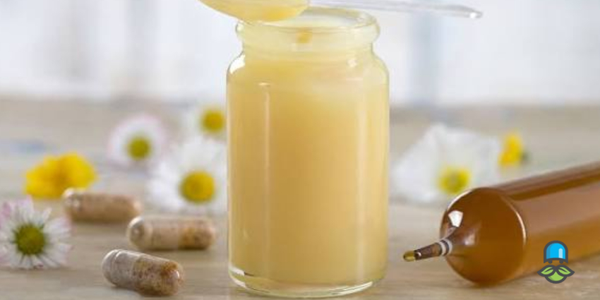 بررسی مهم‌ترین خواص ژل رویال برای زنان