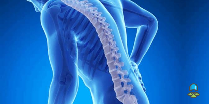 طریقه مصرف قرص Osteo Quinone