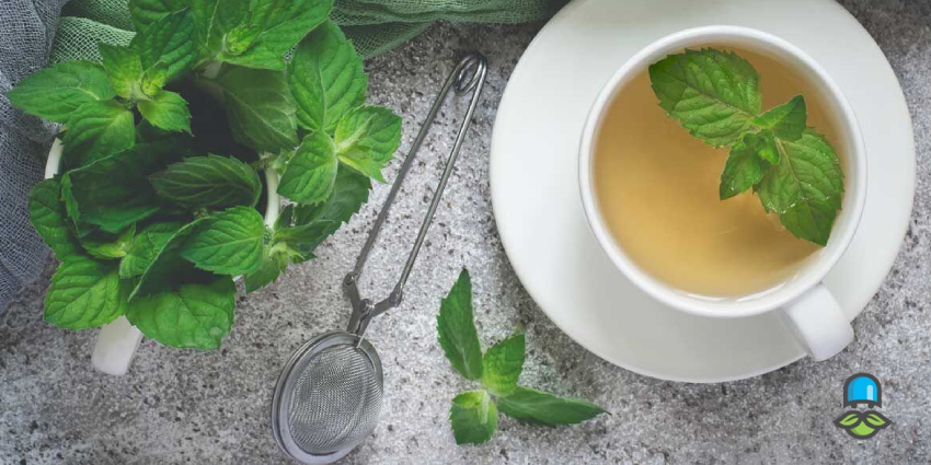 بررسی خواص دمنوش سرماخوردگی