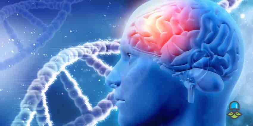 برای جلوگیری از سکته مغزی چه بخوریم؟