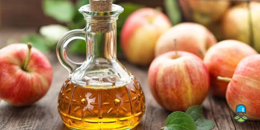 آیا سركه سيب برای لاغری موثر است؟