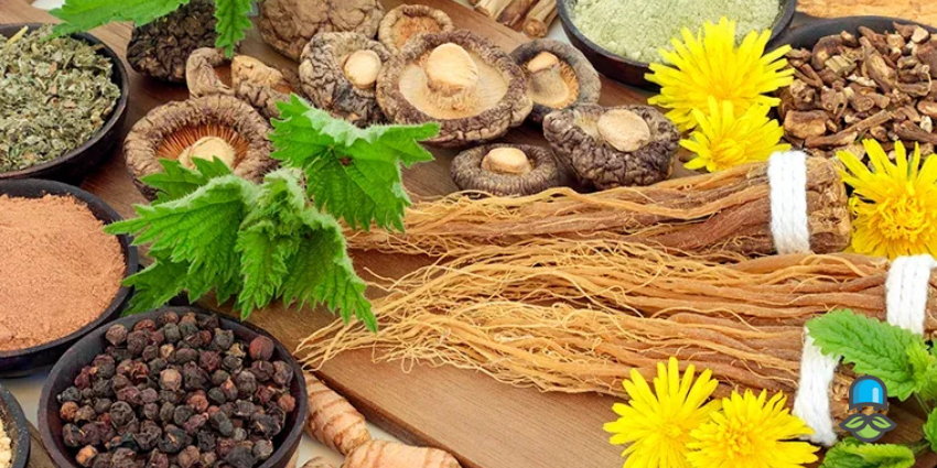 چه غذاهایی برای پروستات مضر هستند؟