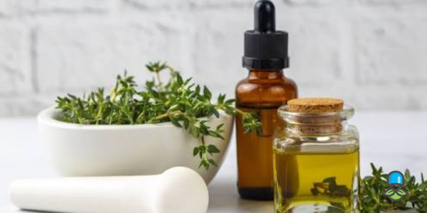 عوارض جانبی و نکات احتیاطی در مصرف آویشن
