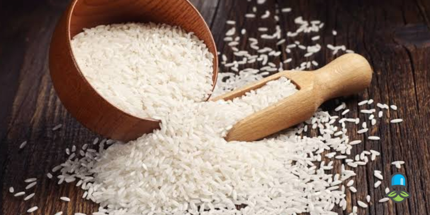 طبع برنج سرد است یا گرم؟