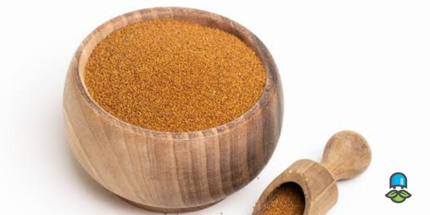 چگونه میتوانیم خاکشیر را مصرف کنیم؟