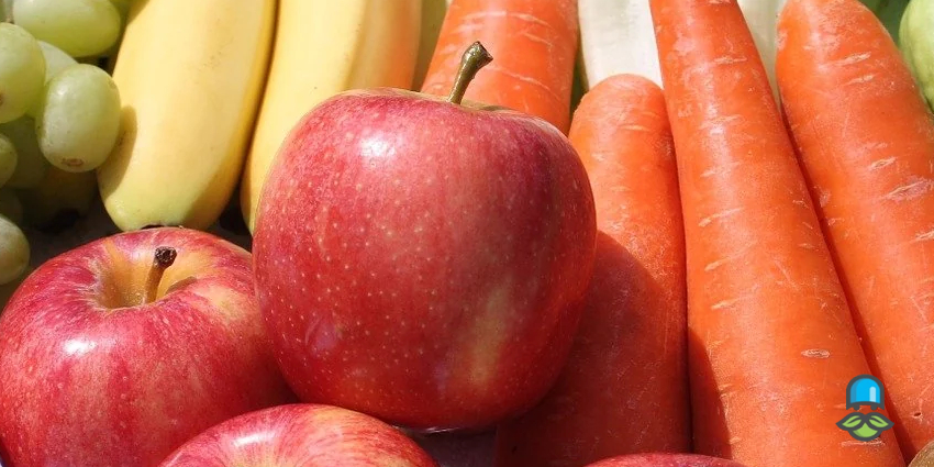 نگه داری از میوه‌‌های برش خورده