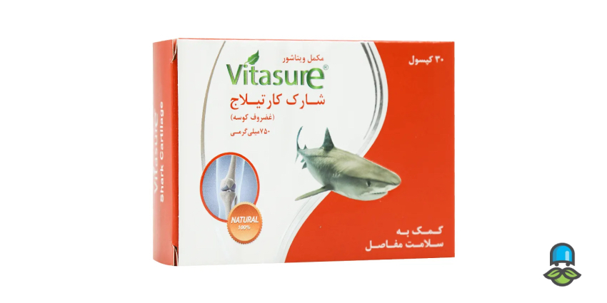 از فواید تا عوارض کپسول شارک کارتیلاج؛ چه کاربردی دارد؟